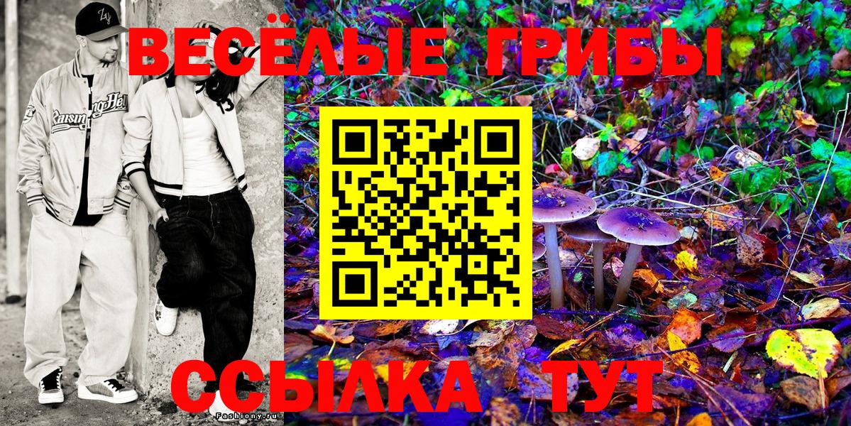 Аксай  Псилоцибиновые грибы MAGIC MUSHROOMS  Вход с VPN 