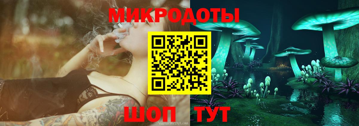 Галлюциногенные грибы Cubensis Аксай
